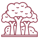 The Woods-Native tropical Trees